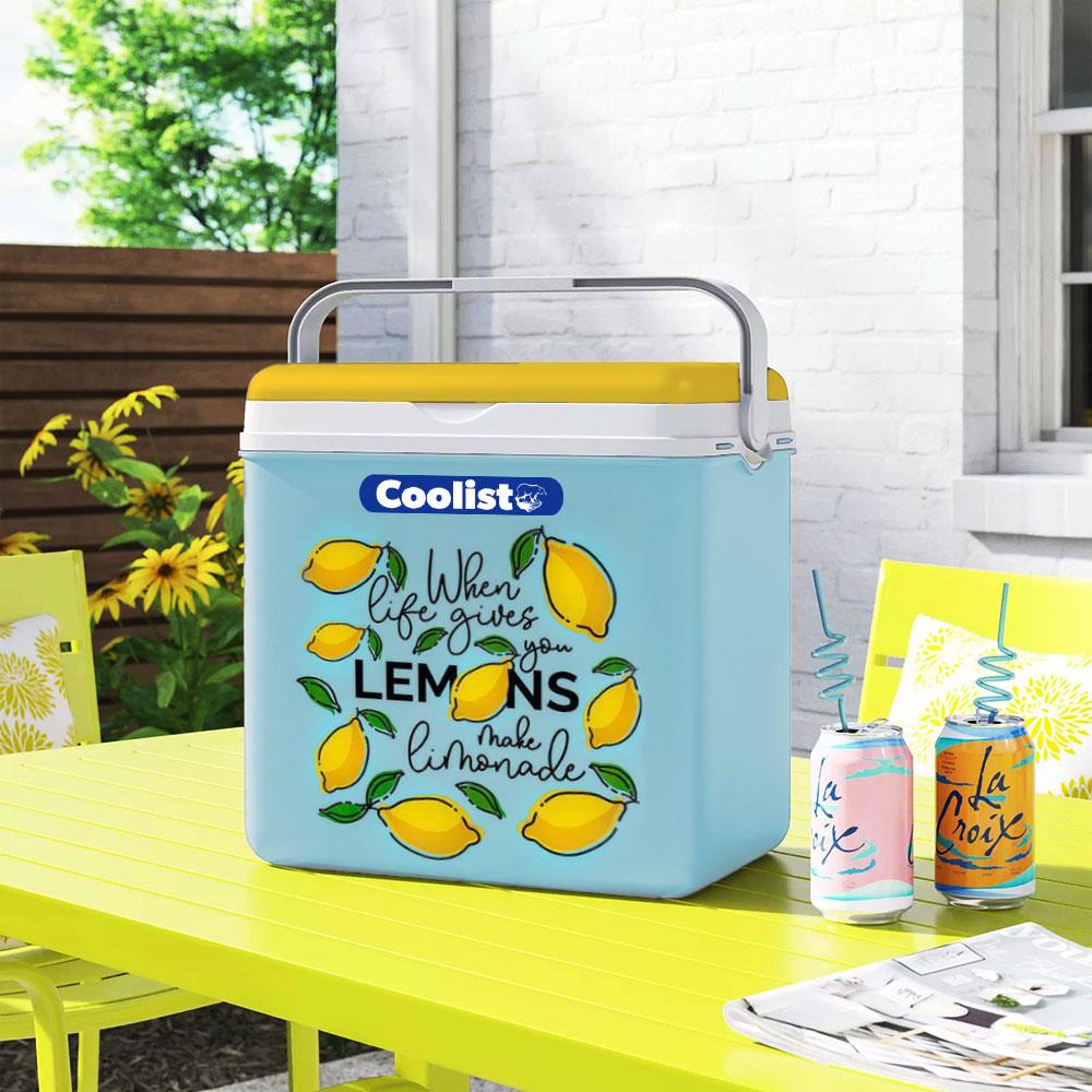 Coolist CLB30LM 30 Litre Limon Desenli Buzluk + 3 Adet 400gr. Buz Kaseti Coolist CLB30LM 30 Litre Limon Desenli Buzluk + 3 Adet 400gr. Buz Kaseti